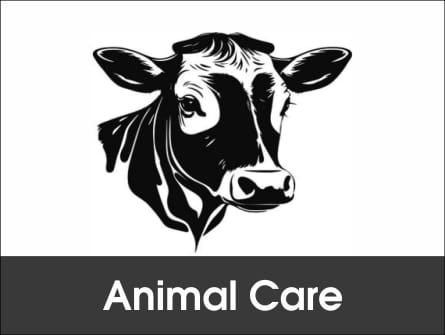 whatsapp image 2026 01 06 at 7.18.57 pm